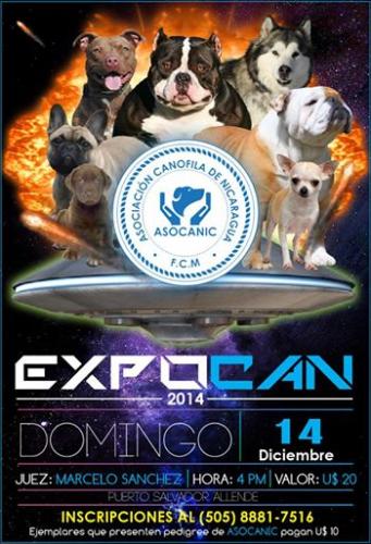 EXPOSICION CANINA Amigos canofilos y publico - Imagen 1