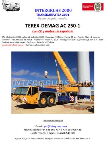 Se vende grua TEREX DEMAG AC 250/1 año 2008 - Imagen 1