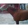 Vendo caballo raza Cuarto de Milla edad 6 añ - Imagen 2